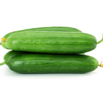 Lebanese Cucumbers