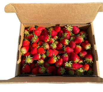 Strawberries Box