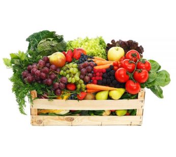 Veggie Box Large